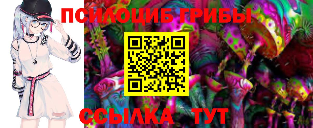 Псилоцибиновые грибы мицелий  Вход с VPN  где купить наркотик  Иваново  Псилоцибиновые грибы Psilocybe 